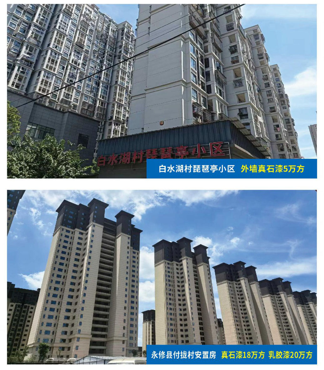 白水湖村琵琶亭小区、永修付垅村项目