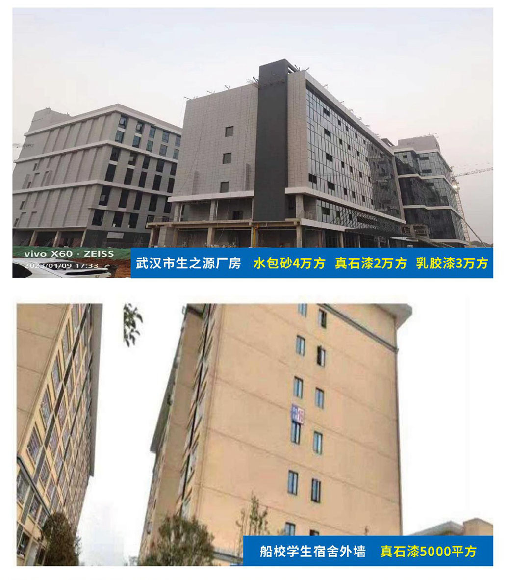 湖北武汉生之源厂房项目